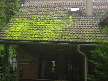 Mytí střechy Jevany