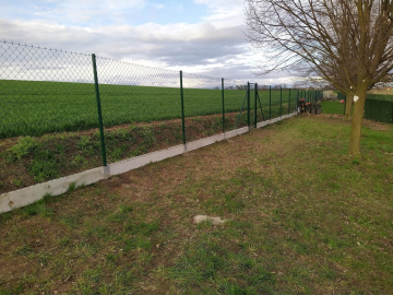 zelený plot